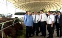 Triển vọng từ hai Hiệp định thương mại mới Việt Nam - Lào