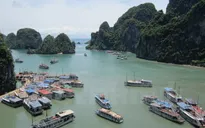 Vịnh Hạ Long: Biến kinh doanh thủy sản thành một sản phẩm du lịch