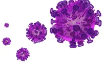 12 năm không dùng thuốc vẫn kháng cự sự phát triển của virus HIV