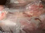 Cao Bằng: Bắt giữ 455 kg vịt đông lạnh nhập lậu