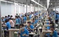 TPP – Những thuận lợi, thách thức với Việt Nam