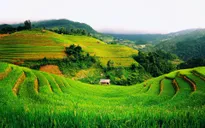 Báo Mỹ viết về những điều đáng để yêu mến ở Việt Nam