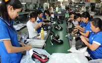 Tốc độ cổ phần hóa DNNN còn chậm