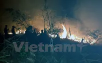 Quảng Ninh: Hỏa hoạn thiêu rụi gần 6ha rừng keo Nam Sơn