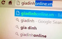 Phạt nặng, tịch thu tên miền của Báo điện tử Gia đình Việt Nam