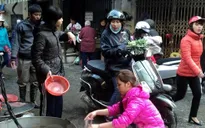 Cá chép vàng loại nhỏ đắt khách dịp Tết ông Công, ông Táo