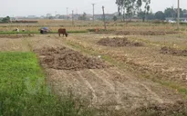 Nghệ An lần đầu tiên công bố thiên tai do hạn hán
