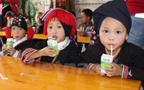 Trẻ mầm non ở Mộc Châu được uống sữa tươi miễn phí mỗi ngày