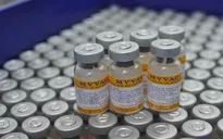 4 loại vaccine Việt Nam tham gia cung cấp toàn cầu