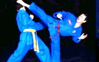 Người có công đưa Vovinam - Việt Võ đạo ra thế giới