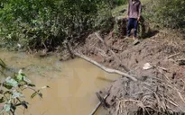 Vỡ, tràn 30 đoạn đê bao tại Sóc Trăng do triều cường