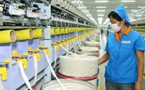 FDI năm 2015 đạt hơn 13 tỷ USD trong 11 tháng