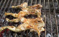 Yên Bái: Ăn cóc nướng, 4 người nhập viện vì ngộ độc