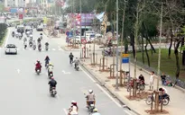 Vụ chặt cây xanh tại Hà Nội: Kỷ luật 11 cán bộ