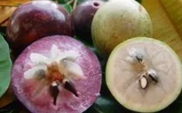 Những loại quả thực sự tốt cho trẻ