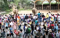 TP.HCM: Du khách đổ về các khu vui chơi giải trí