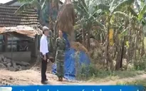 Vướng mắc đền bù tại cao tốc Đà Nẵng - Quảng Ngãi