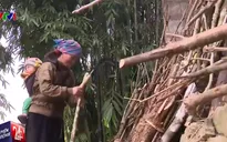 Người dân miền núi ồ ạt sang biên giới tìm việc làm