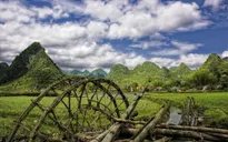 Đi.vtv: Hành trình đến với thế giới tự nhiên