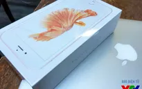 iPhone 6S xách tay bản Rose Gold về Việt Nam có giá gần 31 triệu đồng