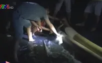 Tây Ninh: Bắt quả tang nhà máy xả thải trực tiếp ra môi trường