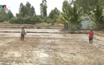 Xâm nhập mặn tăng nhanh bất thường tại ĐBSCL