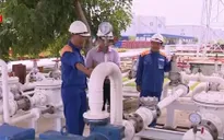Từ 30/11, 100% cây xăng tại TP.HCM bán xăng sinh học