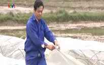 Xây dựng Nông thôn mới: Vai trò quan trọng của cán bộ cơ sở
