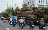 Chấm dứt tình trạng chở quá tải vào cuối năm 2015