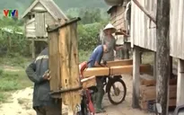 Bùng phát xe lâm tặc trong mùa mưa tại Phú Yên