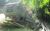 Xe chở luồng lao xuống vực, 7 người thương vong