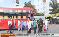 TP.HCM: DN vận tải khai gian để nhận tiền trợ giá xe bus