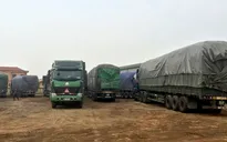 15 xe chở quá tải bị phạt gần 600 triệu đồng