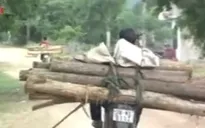 Bùng phát “xe lâm tặc” ở Phú Yên