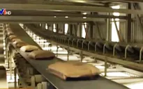 Điều chỉnh, bổ sung công suất một số dự án xi măng