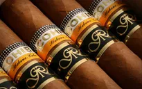 Cơ hội cho các doanh nghiệp xì gà Cuba tại thị trường Mỹ