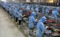 S&P: Kinh tế Việt Nam khởi sắc trong khi châu Á phát triển chậm lại