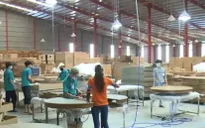 Thuế xuất khẩu sản phẩm gỗ vào Nga sẽ giảm dần