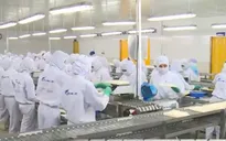 Đề xuất xóa, giảm 10.000 tỷ đồng nợ thuế cho DNNN: Nhiều ý kiến trái chiều
