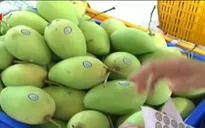 Trái cây xuất khẩu: Còn nhiều thách thức