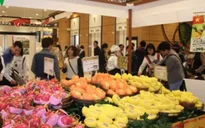 Xoài Việt Nam chính thức vào thị trường Nhật Bản
