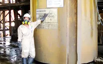 NHNN chưa cấp phép xuất khẩu vàng cho hai công ty