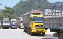Giải pháp đẩy mạnh xuất khẩu, tiêu thụ nông sản