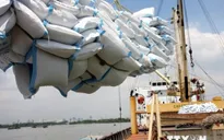 Thêm 2 ngân hàng được cho vay thu mua tạm trữ lúa gạo