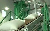 Xuất khẩu nông lâm thủy sản giảm 5%