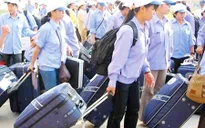 Bắt đối tượng giả danh luật sư lừa người xuất khẩu lao động