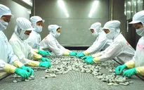 Chủ động kiểm soát chất lượng thủy sản xuất khẩu đi EU