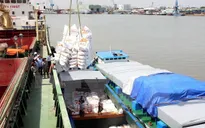 Triển khai đề án xây dựng thương hiệu gạo