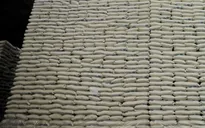Nhật Bản đề xuất miễn thuế nhập khẩu đối với 70.000 tấn gạo Mỹ