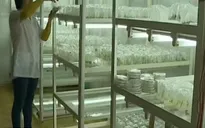 Sẽ có nhiều đổi mới trong hoạt động xúc tiến đầu tư